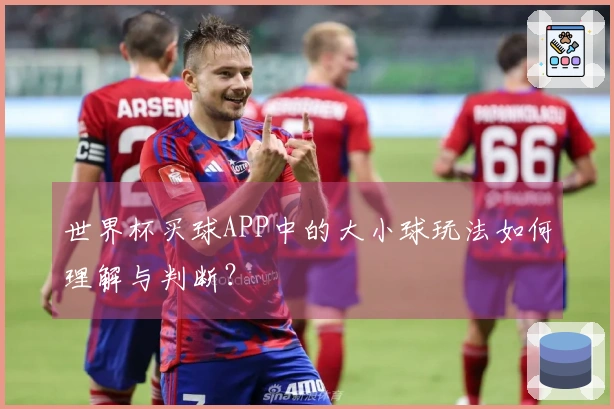 世界杯买球APP中的大小球玩法如何理解与判断？