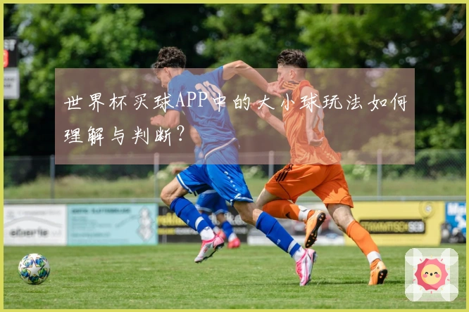 世界杯买球APP中的大小球玩法如何理解与判断？